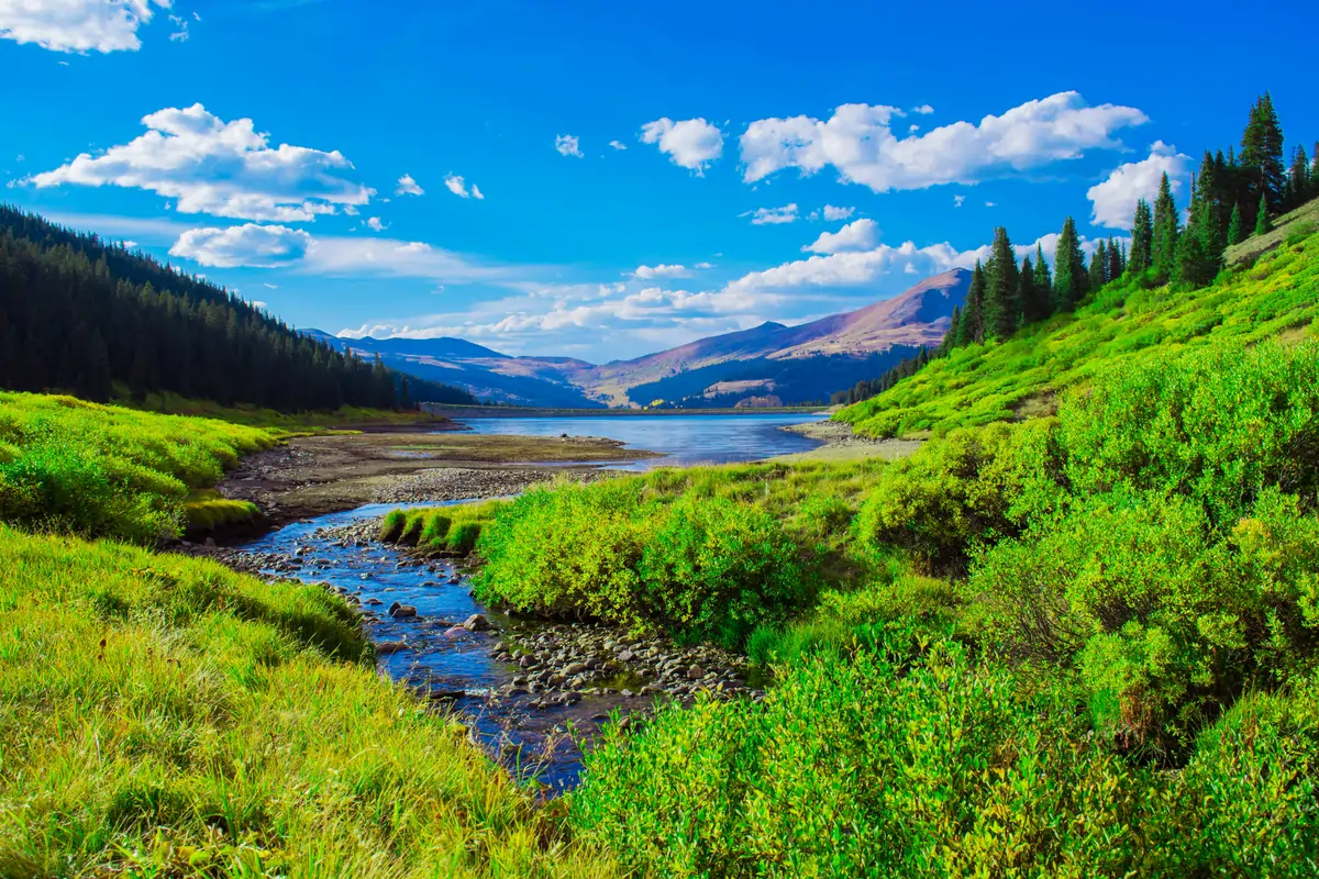 Image for Free $50 Chamber Gift Card for July Stays